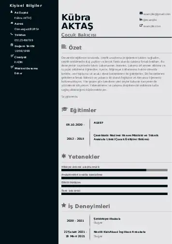 Çocuk Bakıcısı CV Örnekleri cv indir